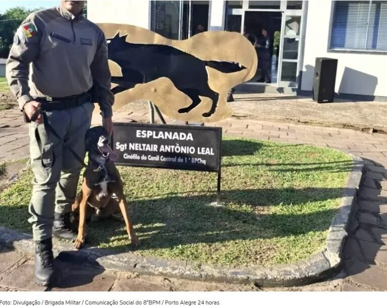 Brigada Militar certifica soldados em curso inédito com foco em detecção de substâncias com cães farejadores