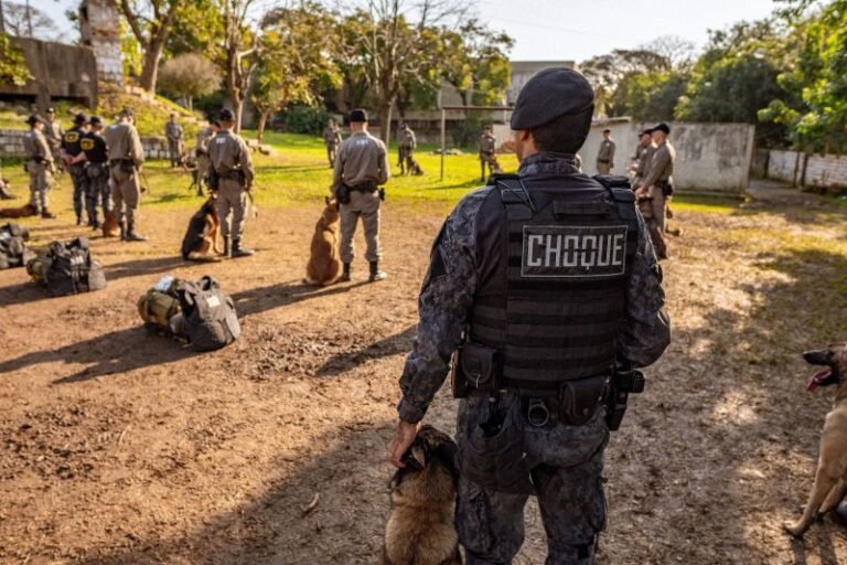 Curso prepara PMs e cães para atuação policial especializada na Brigada Militar